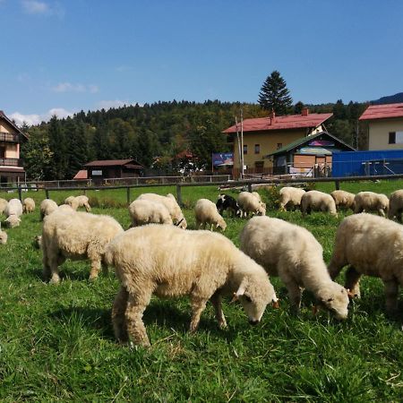 Willa Szymusiowa Szczyrk Lägenhet Exteriör bild